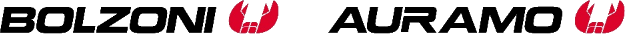 Bolzoni Auramo logo