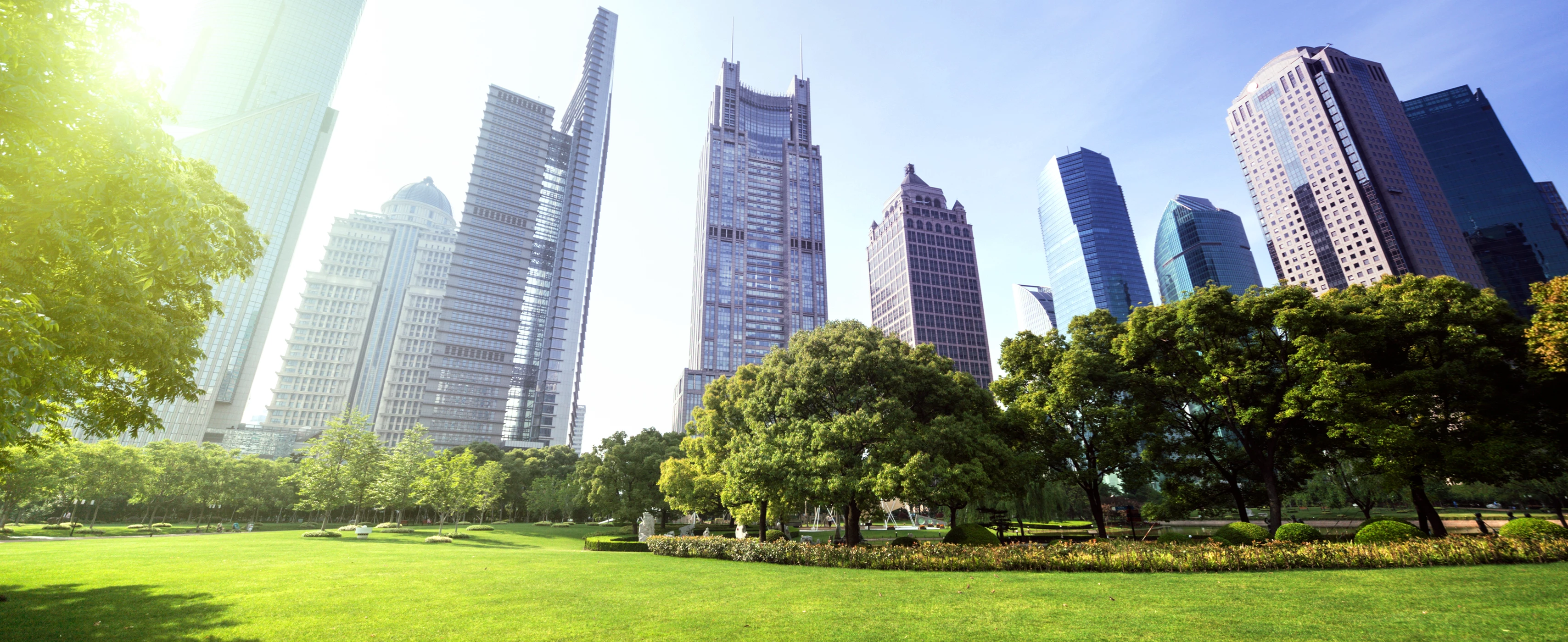 Lush green park in the city.